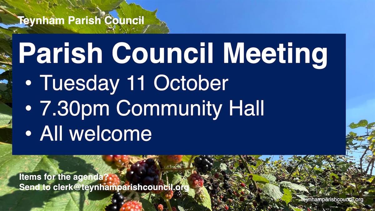 Council meeting on Tuesday 11 October