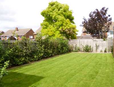 community hall garden