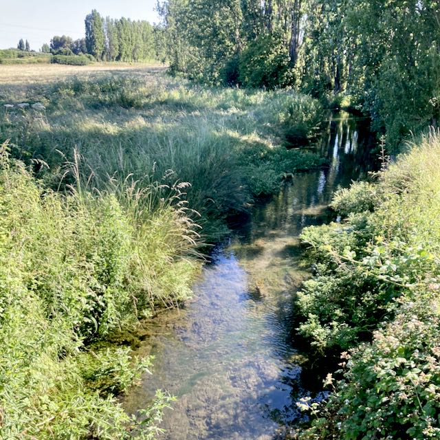 Deeton Street Brook