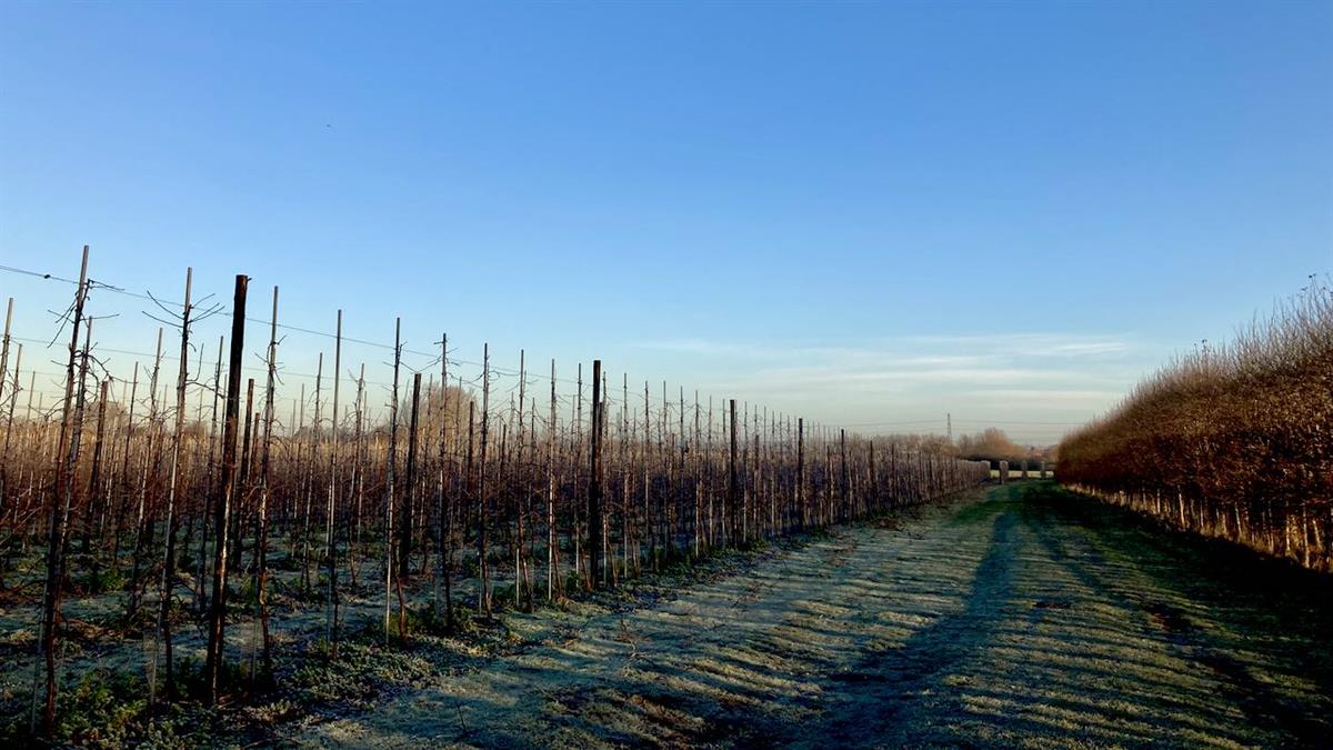 Teynham to Conyer footpath